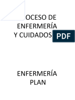 Proceso de Enfermería y Plan de Cuidados de Enfermería