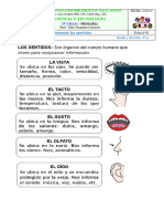 Ficha Nº2 - CT - Los Sentidos