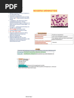 Neisseria Meningitidis