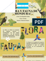 Flora y Fauna de Honduras