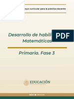 Habilidades Matematicas Primaria-Fase 3