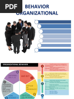 Organizational Behavior