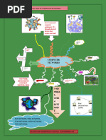 Computer Networks Mind Map