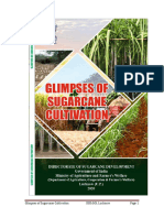 Glimpses of Sugarcane Cultivation DSD - GOI, Lucknow