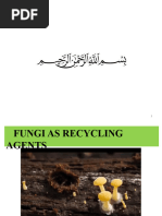 Fungi As Recyclers