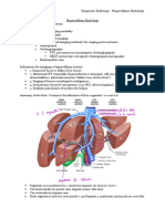 Diagnostic Radiology - Hepatobiliary Radiology