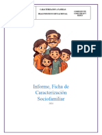 Informe Caracterizcion CDI