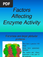 Factors Affecting Enzyme Activity