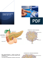 Fisiopatologia DM