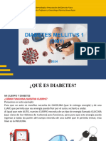 Clase DIABETES MELLITUS 1