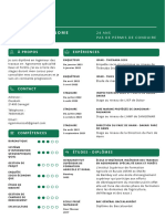 Persévérance CV Jobijoba-3