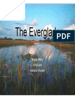 The Everglades Group Presentation