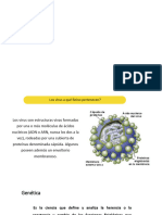 Material de Estudio 3-Procarionte