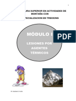 MODULO I - Lesiones Por Agentes Termicos PDF