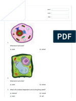 Plant and Animal Cells - Quizizz