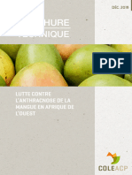 Brochure Lutte Contre Anthracnose Mangue COLEAD