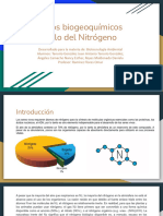 Ciclo Del Nitrogeno