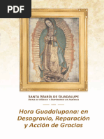 MG - Hora Guadalupana - Ago2023 - Revision