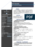 Mon CV Professionnel