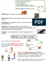 Science Animal Life Cycles Lesson 6