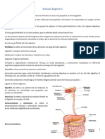 Sistema Digestivo