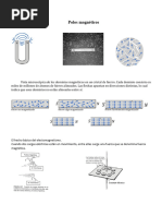 Polosmagnéticos