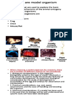 Development of Xenopus