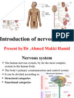 Introduction of Anatomynervous System