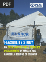 Feasibility Study Reporton On CVA in Amhara Gambella - Ethiopia Dec 2021