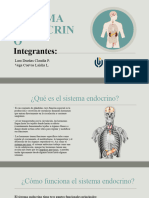 Sistema Endocrino