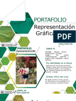 Portafolio Rdi