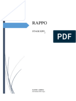 Rapport de Stage Sanou Aminata Uba