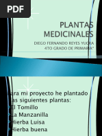 Expociencia. Plantas Medicinales