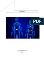 Sistema Endocrino