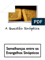 Questão Sinóptica