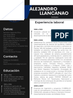 CV-Alejandro Llancanao