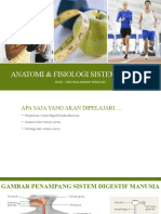 Anfis Sistem Digesti