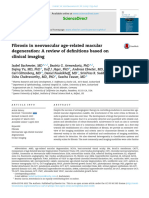 Fibrosis in Neovascular Age-Related Macular Degeneration: A Review of Definitions Based On Clinical Imaging