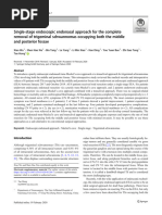 Single-Stage Endoscopic Endonasal Approach For The Complete Removal of Trigeminal Schwannomas Occupying Both The Middle and Posterior Fossae