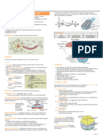 Medsurg SF Nervous System