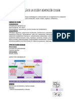 Anatomía Patológica Parte 1