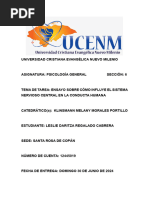 124450198-13 Ensayo Cómo Influye El SNC en La Conducta Humana