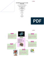 Funciones Del Cerebro