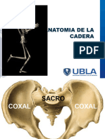 Cadera y Rodilla