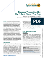 Jacob Et Al 2015 Diseases Transmitted by Man S Best Friend The Dog