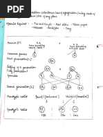 Experiment 13 Mendel Segregation