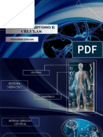 Sistema Nervoso e Células