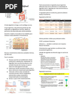 Fisiologia Gastrointestinal - Nicoly T17 PDF