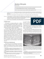 Ultrasound Evaluation of The Penis: Avaliação Ultrassonográfica Do Pênis