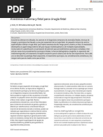 Anestesia para Cirugia Fetal - En.es